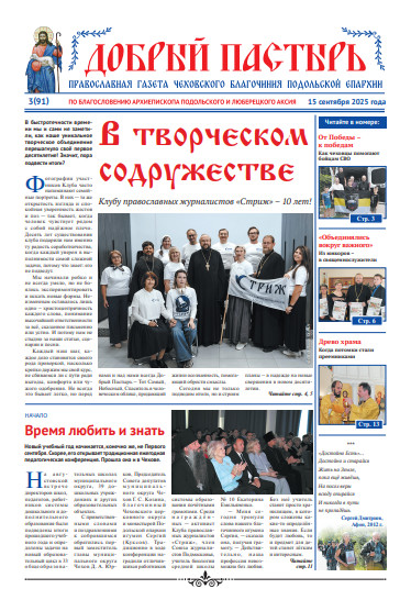 Обложка ДП № 3 (91) 2025-Стриж 10 лет.pdf